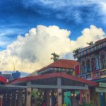 Top Things to Do in Little India Singapore