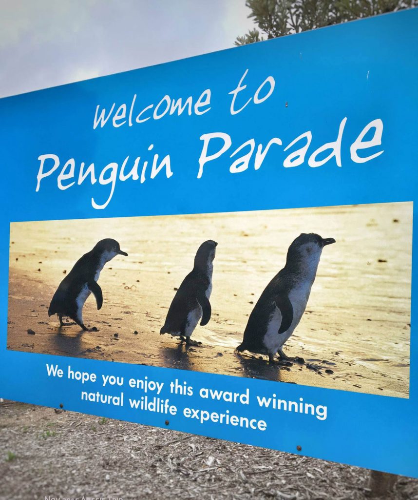 Welcome to Penguin Parade