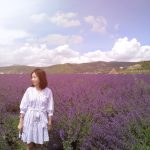 Songpan Lavender Fields Look Just Like Provence
