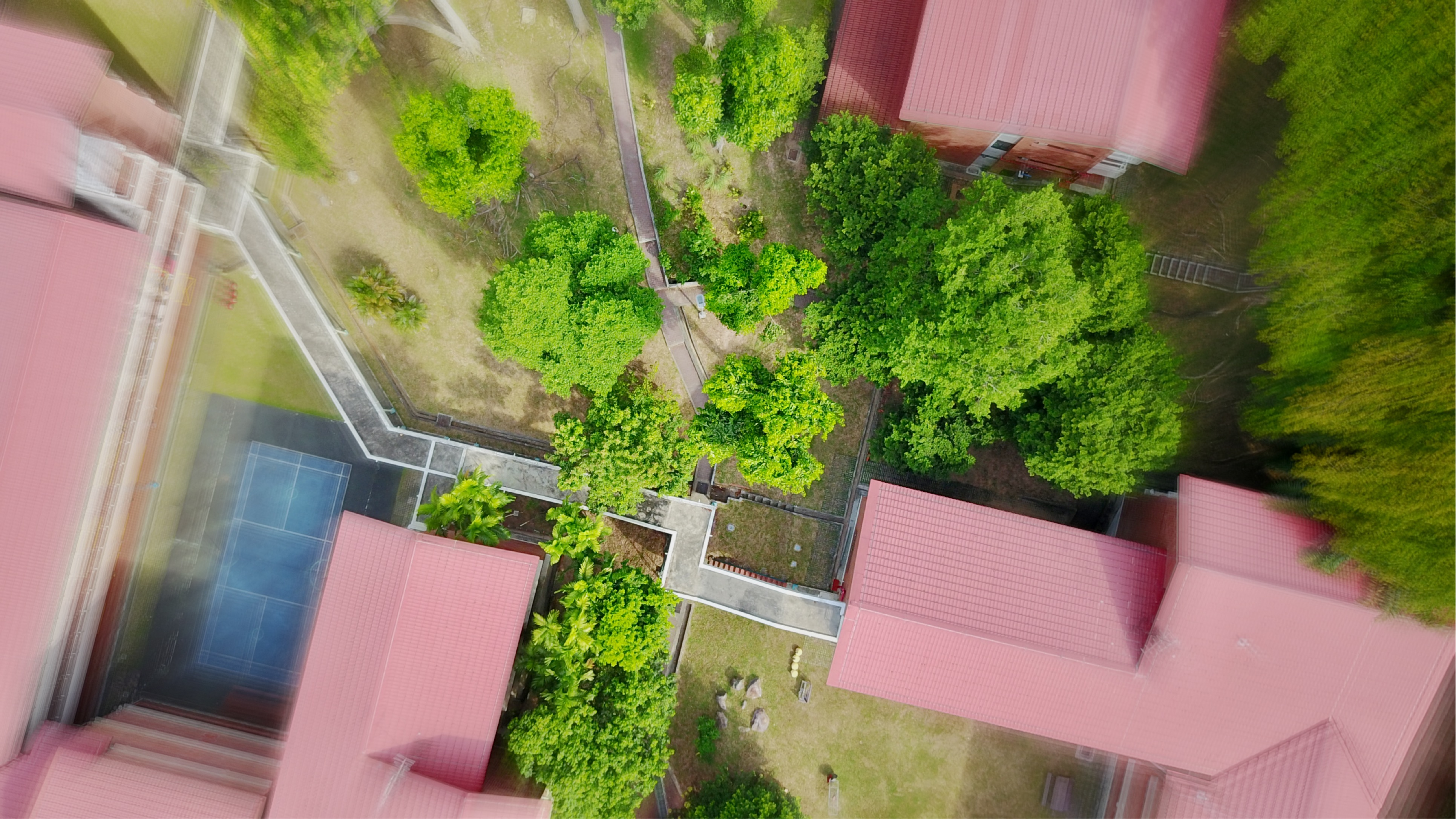 dji mavic pro tips for beginners