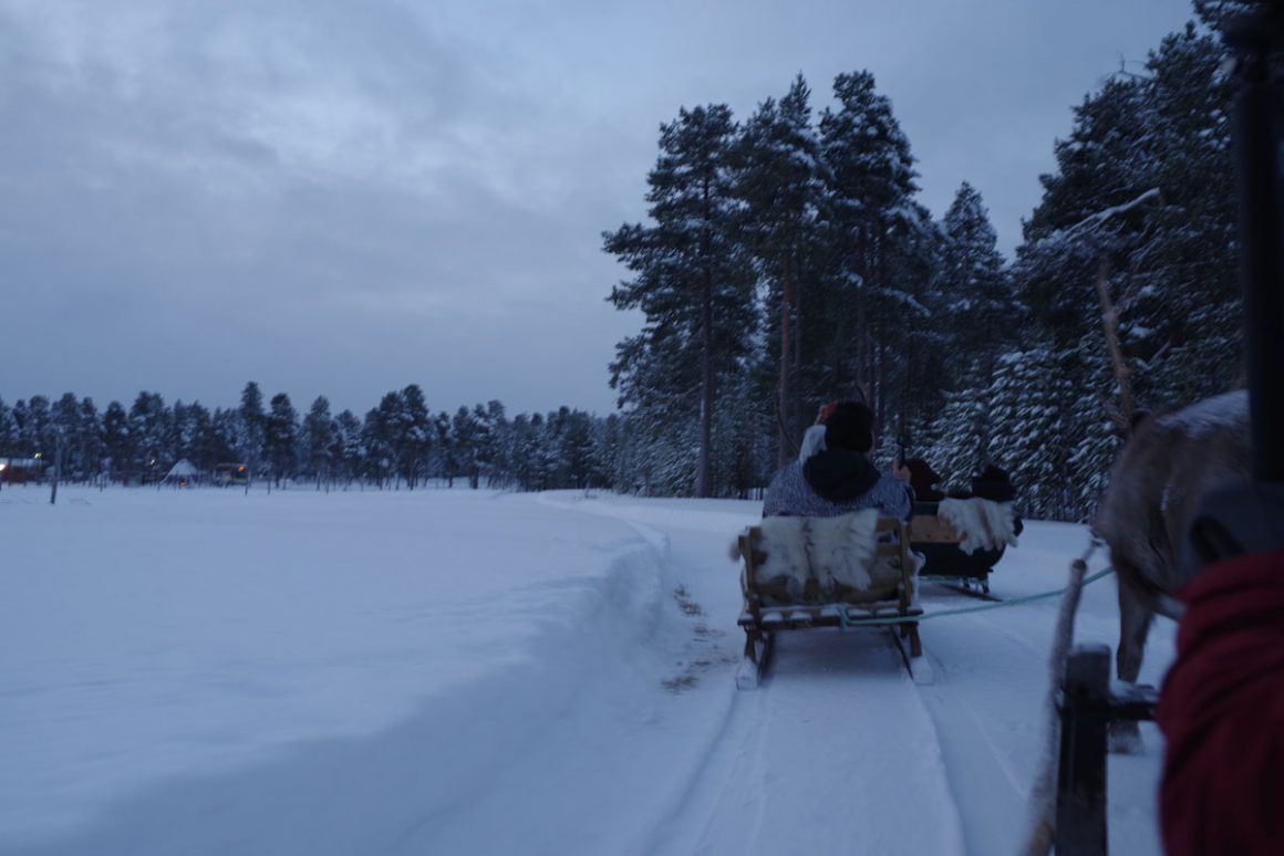 Inari Reindeer Farm: Reindeer Ride