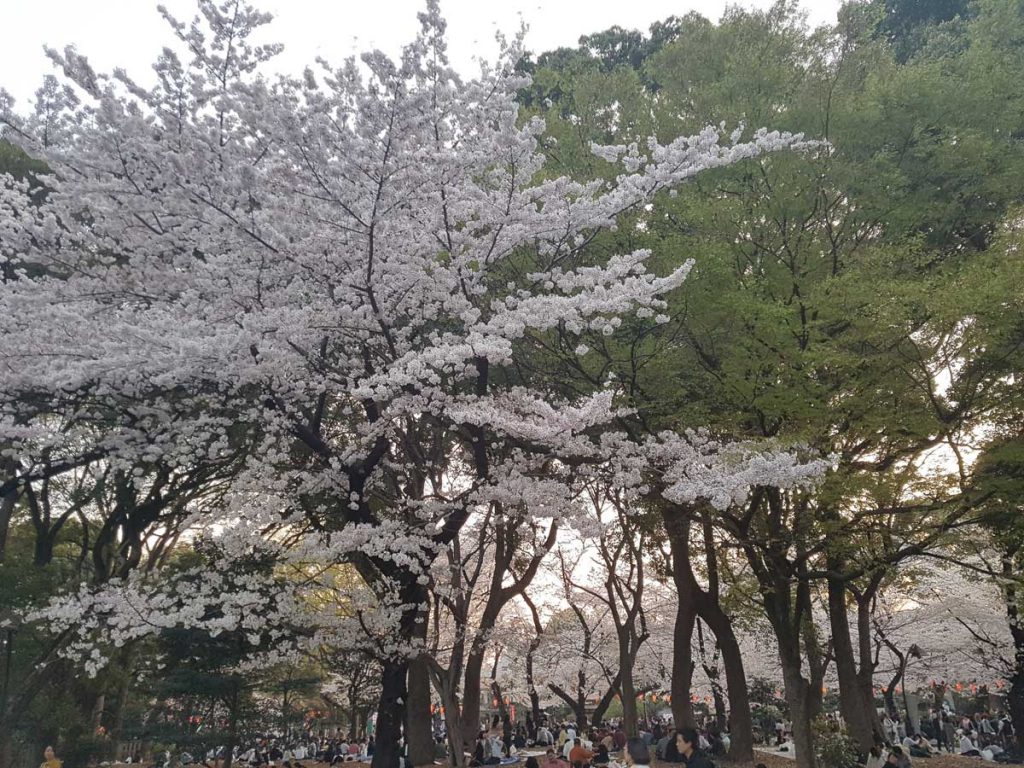 20180328 174135