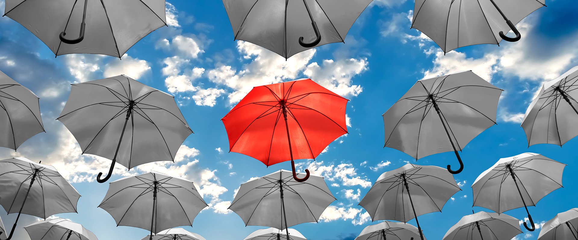 umbrella canada