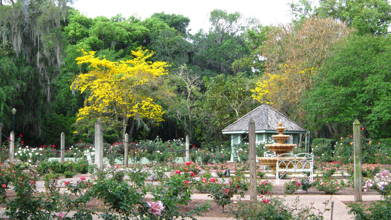 Harry P Leu Gardens