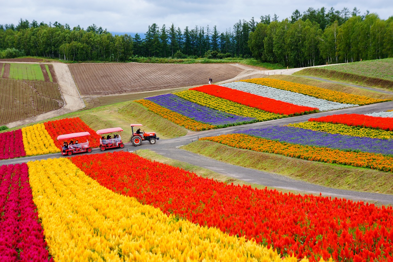 hokkaido