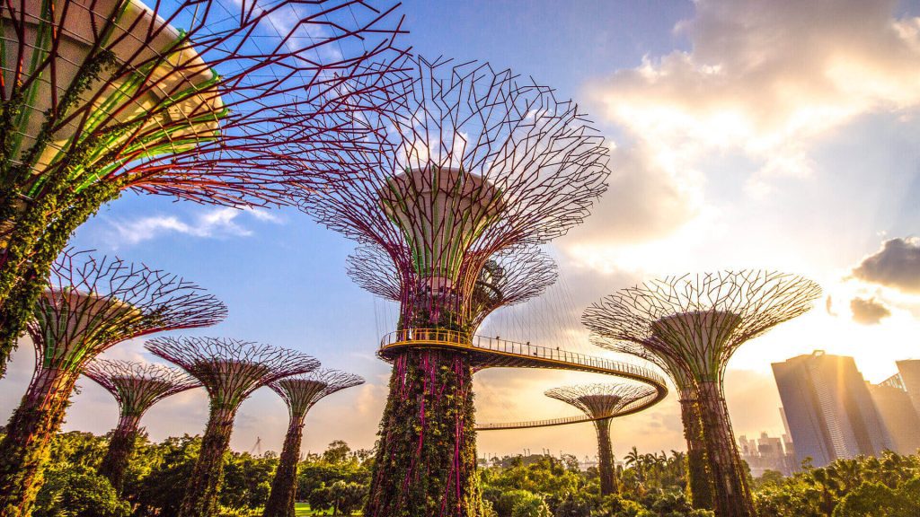 10 Best Instagrammable Places in Singapore 8 supertree grove gardens by the bay