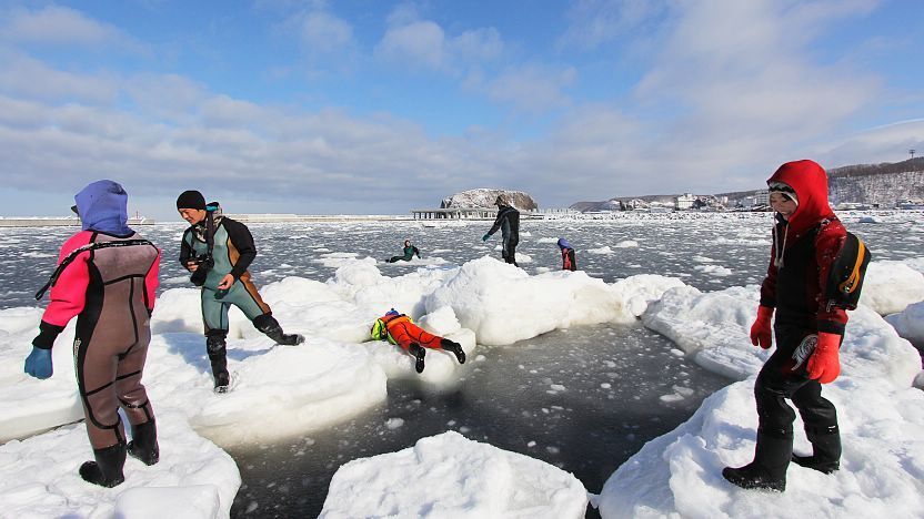 Ice Drift Tour on Shiretoko Peninsula