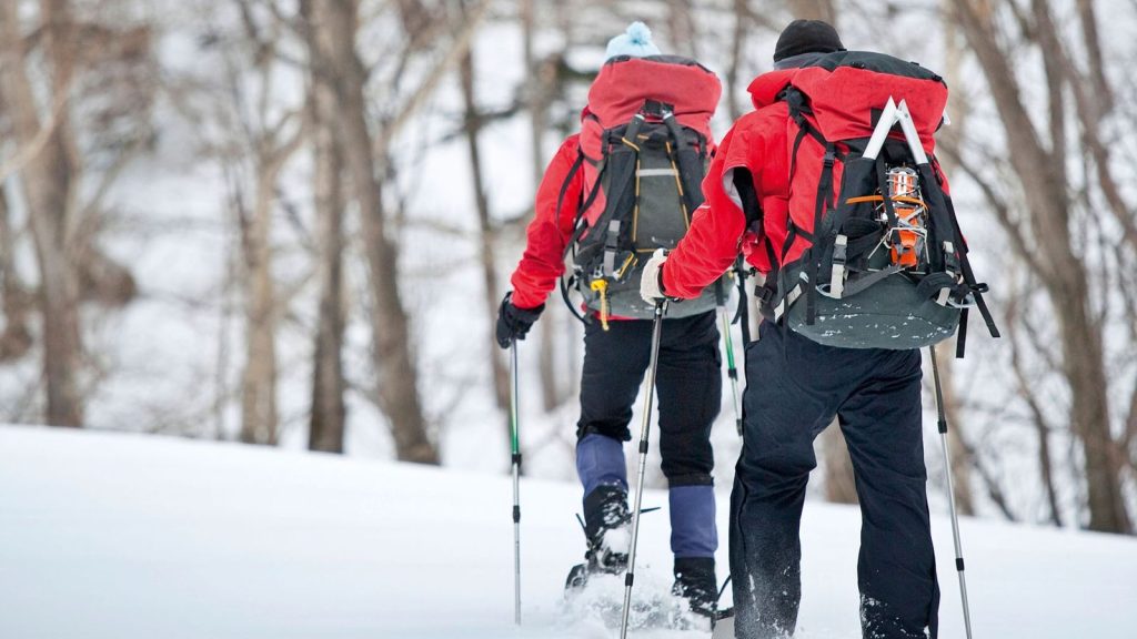 Snowshoeing in Daisetsuzan National Park