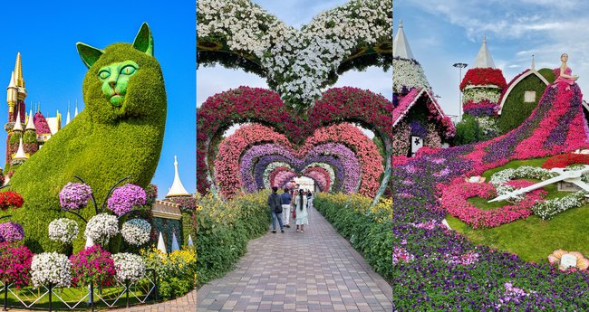 10 Best Dubai Attractions for Kids 5 Dubai Miracle Garden