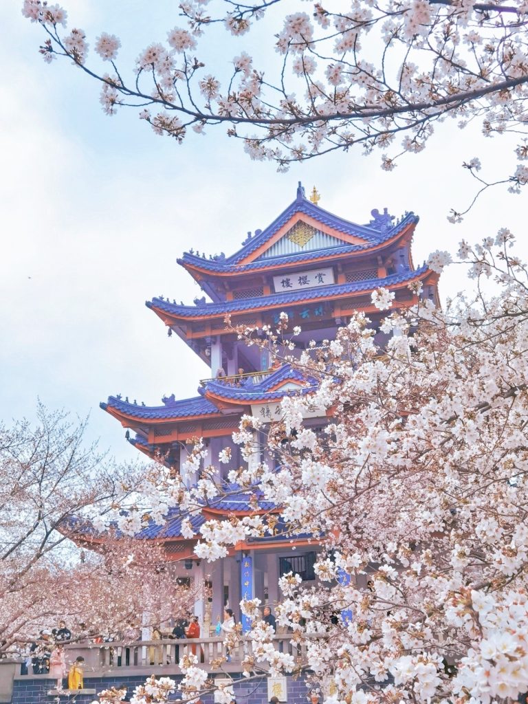 jiangnan2
