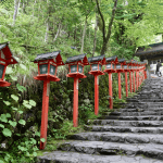 5 Days in Kyoto Itinerary: Our Family-Friendly Trip in Kyoto