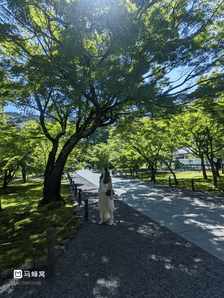 5 Days in Kyoto Itinerary: Our Family-Friendly Trip in Kyoto 29 20240918 131534 min