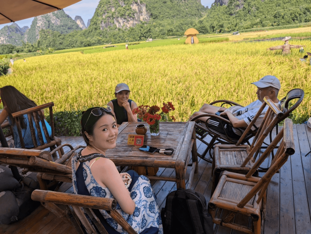 rice paddy fields cafe