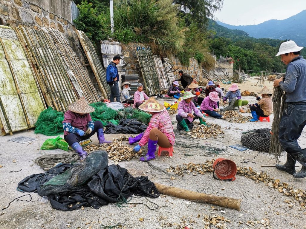 Nan'ao Island: A Quiet Coastal Escape in Guangdong 10 nanao 7