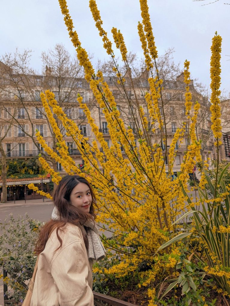 paris trip 2025 11