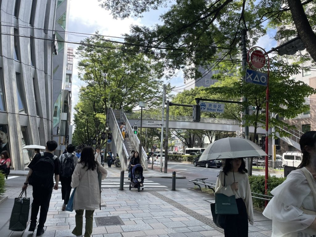 5 Day Tokyo Itinerary: Culture, Shopping and Sakura 5 tokyotrip 2