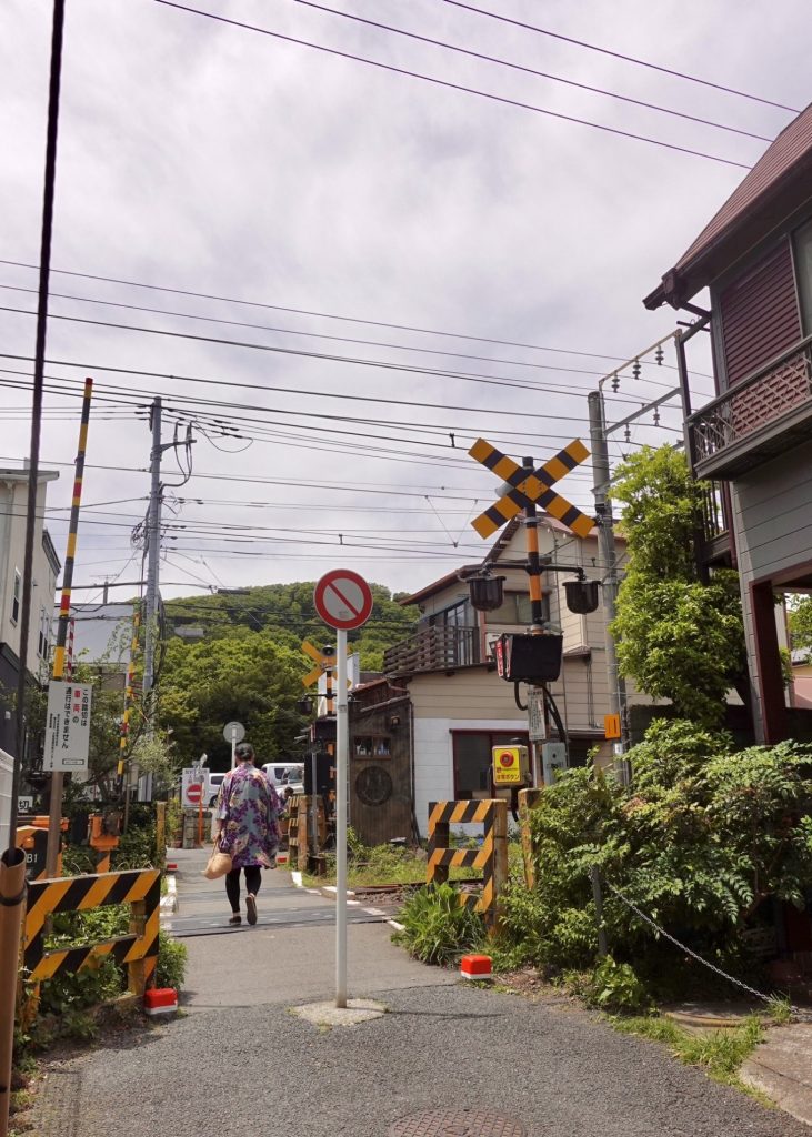 5 Day Tokyo Itinerary: Culture, Shopping and Sakura 7 tokyotrip 4