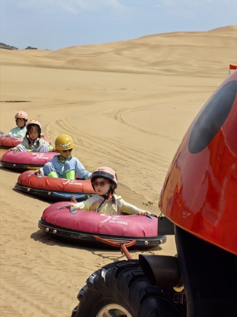 Exploring Xiangshawan: The Disney of the Desert 7 xiangshawan beetle for kids