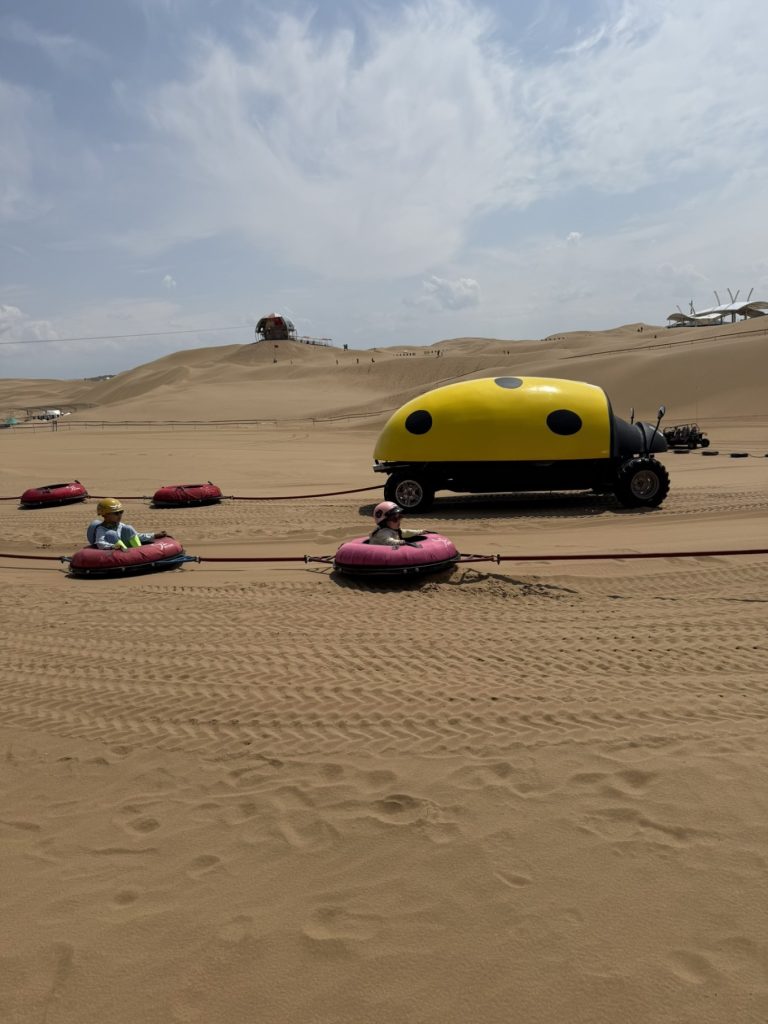 Exploring Xiangshawan: The Disney of the Desert 12 xiangshawan beetle game