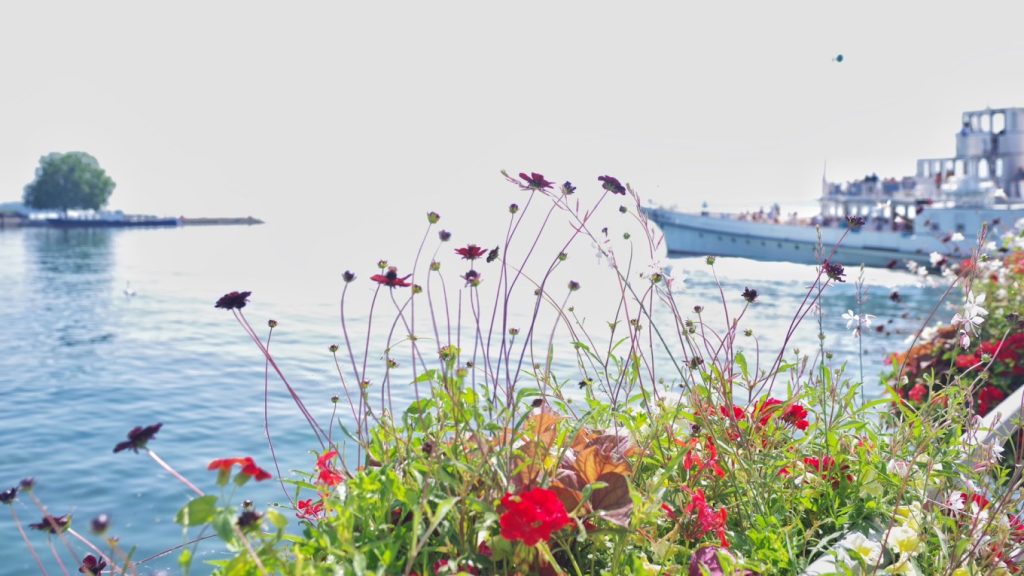 9 Day Switzerland Itinerary: From Lucerne to Zurich 18 lakeside promenade are lined with flowers