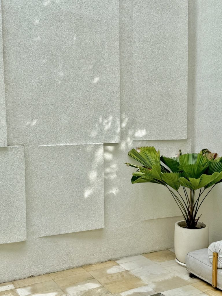Villa Tiiiga Thrē’s plant