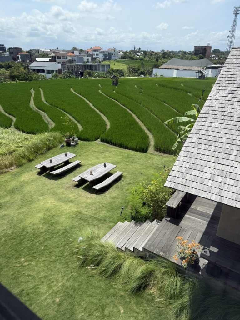 Ding Ding Hotpot Canggu Review: Scenic Rice Field Hotpot Dining & Family Fun 5 ding ding hotpot rice fields