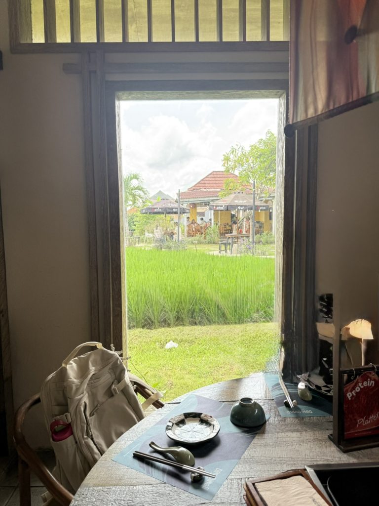 Ding Ding Hotpot Canggu Review: Scenic Rice Field Hotpot Dining & Family Fun 7 ding ding hotpot private dining room 1