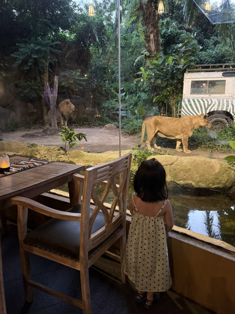 Mara River Safari Lodge Bali Review: Family-Friendly Safari Stay in Bali 15 Tsavo Lion Restaurant lion feeding