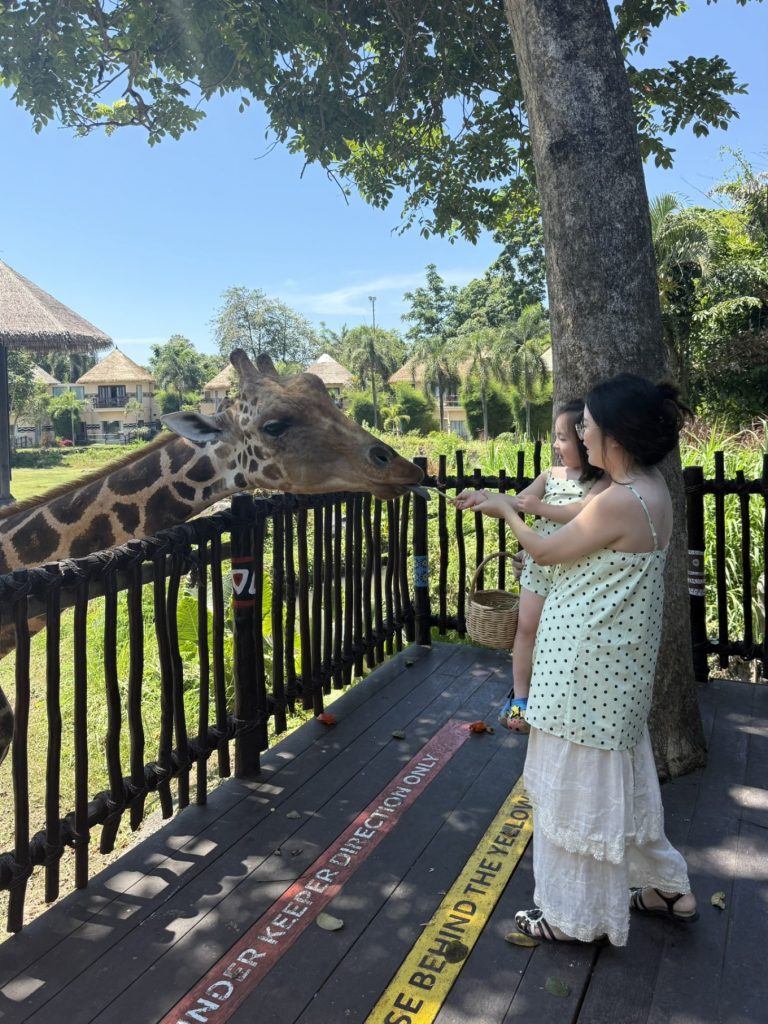 Mara River Safari Lodge Bali Review: Family-Friendly Safari Stay in Bali 21 Mara River Safari Lodge Bali giraffe feeding