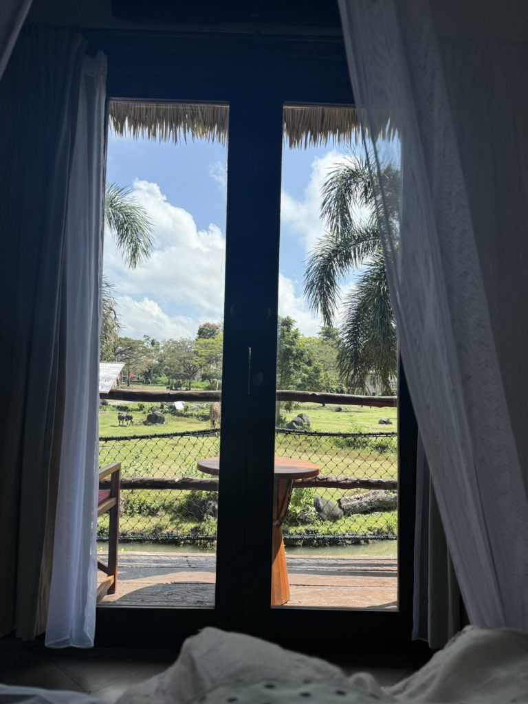 Mara River Safari Lodge Bali Review: Family-Friendly Safari Stay in Bali 9 Mara River Safari Lodge Bali twiga room view