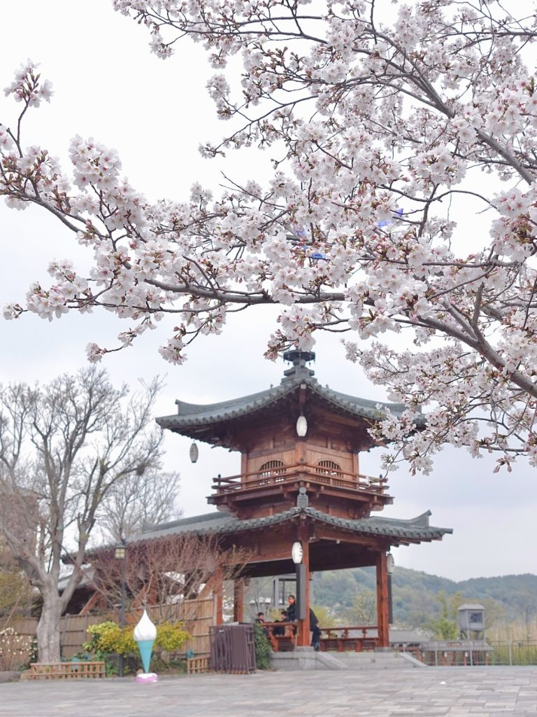Wuxi Nianhua Bay: A Peaceful Zen Town Blending Tang-Song Architecture and Jiangnan Charm 13 Cherry blossoms framing a traditional wooden pagoda.