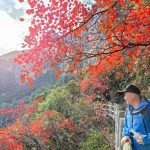 Autumn at Goddess Peak: A Family Journey Through the Three Gorges