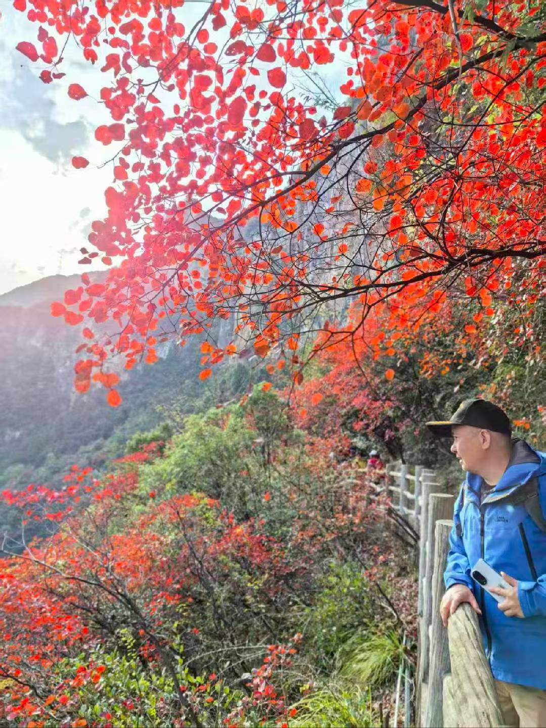 Father enjoying autumn red leaves at Goddess Peak Scenic Area in Wushan.