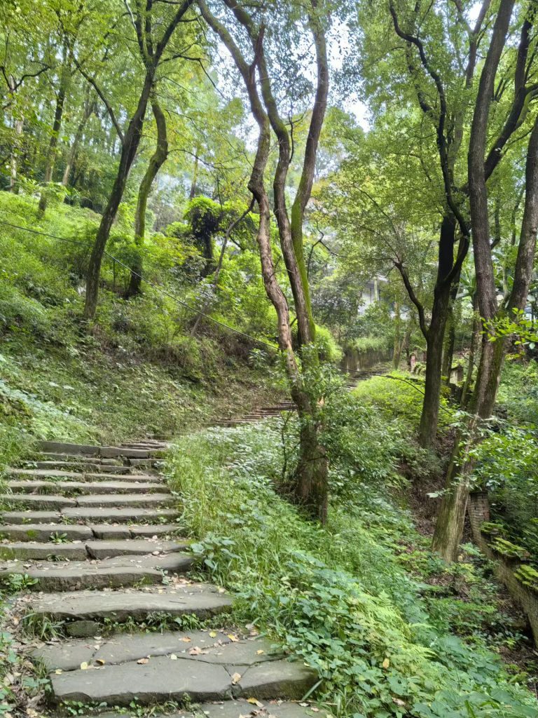 Stone steps surrounded by lush green trees on Huangge Ancient Path in Chongqing