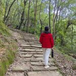 Chongqing Hike: Huangge Ancient Path → Laojun Cave → Tushan Temple → Qingshuixi Trail