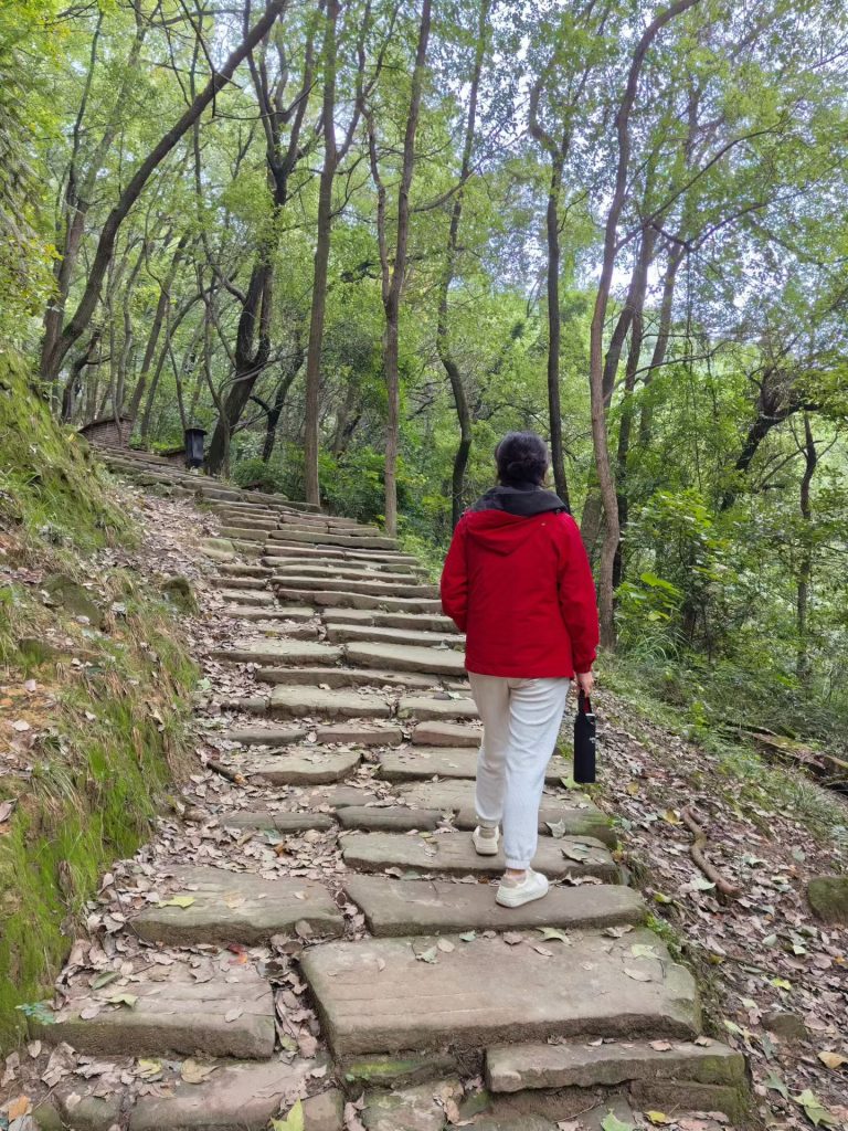 A hiker in a red jacket walking up ancient stone steps surrounded by dense forest