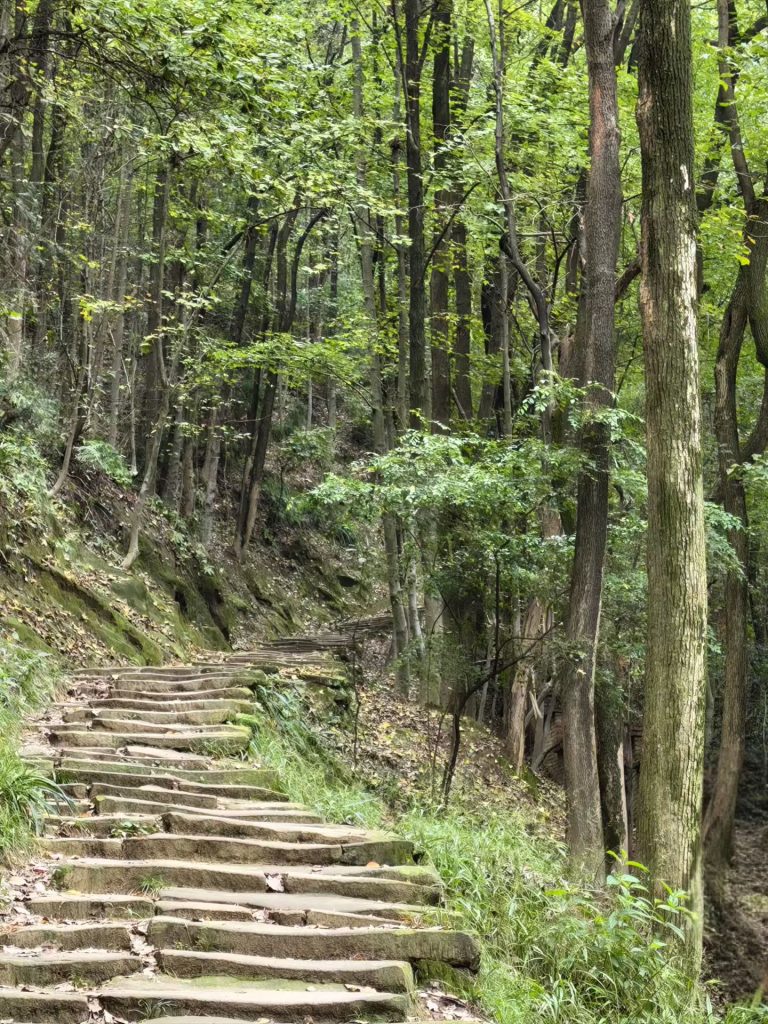 Narrow mossy stone steps leading deeper into the forest along Tushan Ancient Path
