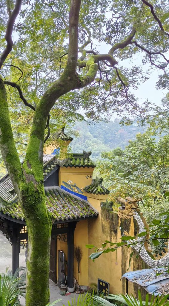 Yellow-walled Tushan Temple with green-tiled roof and dragon sculpture surrounded by trees