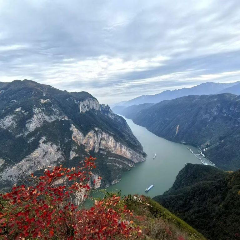 Autumn red leaves framing a high view of the Yangtze River and cliffs along the Three Gorges Dragon Ridge in Wushan.
