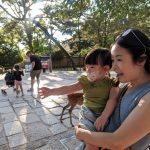 Visiting Nara Park Japan: A Relaxing Family Day with the Friendly Deer
