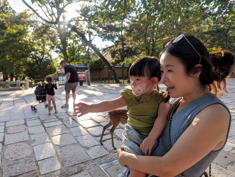 Visiting Nara Park Japan: A Relaxing Family Day with the Friendly Deer