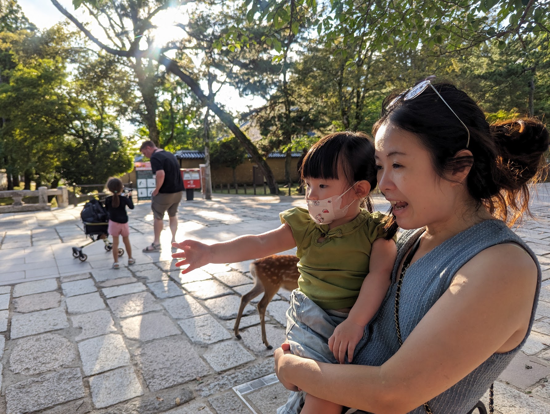 Mother holding her toddler while pointing at a deer in Nara Park under warm afternoon sunlight.