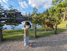 Visiting Nara Park Japan: A Relaxing Family Day with the Friendly Deer 7 Toddler standing along the lakeside trail at Nara Park with a deer grazing nearby.