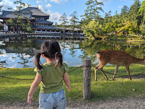 Visiting Nara Park Japan: A Relaxing Family Day with the Friendly Deer 8 Toddler facing a grazing deer beside a calm pond at Nara Park with traditional Japanese buildings in the background.