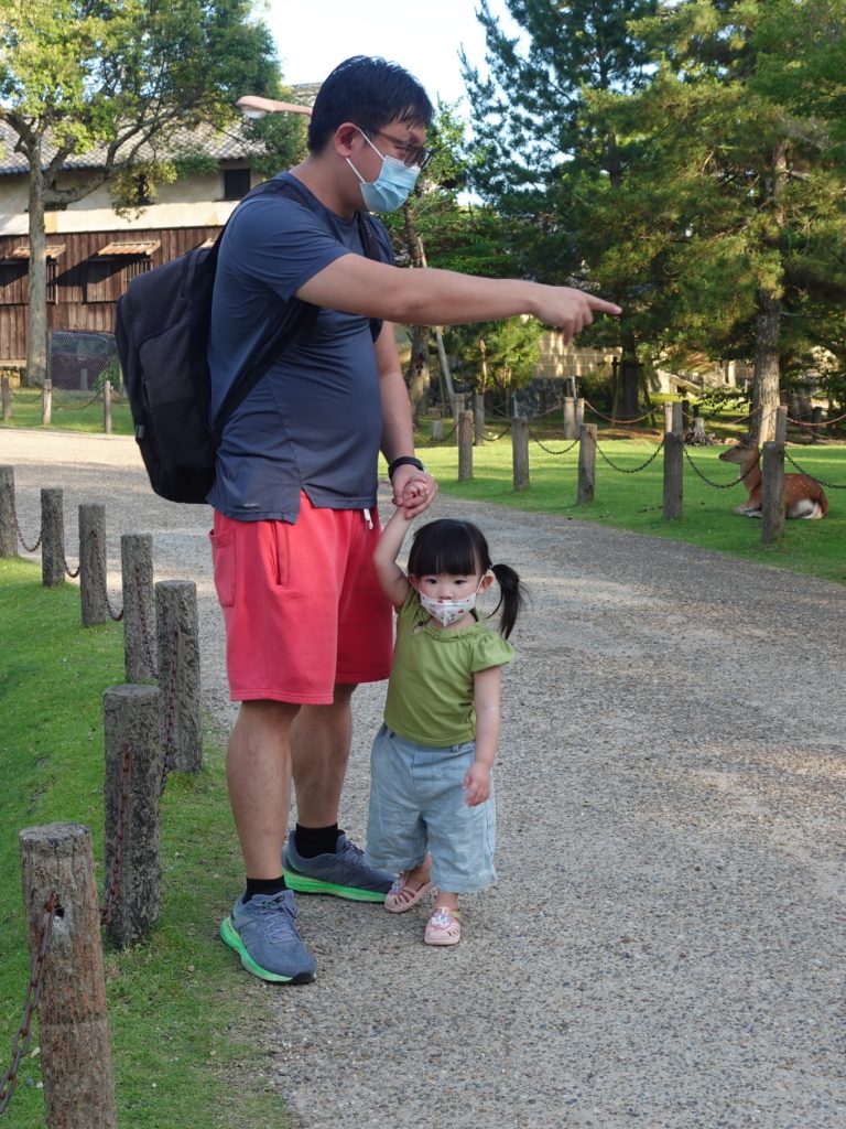 Visiting Nara Park Japan: A Relaxing Family Day with the Friendly Deer 11 Father holding his toddler’s hand and pointing toward a deer in Nara Park during an afternoon walk.