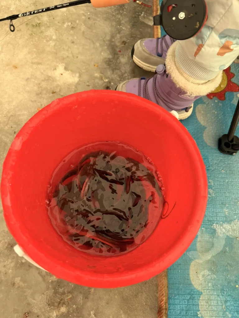Red bucket filled with freshly caught fish on the ice beside a child’s winter boots