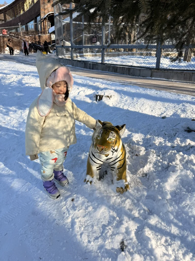 Hengdaohezi 1-Day Trip: Snowy Railway Town Near Harbin Travel Guide 28 Young child touching a small tiger statue in the snow at Hengdaohezi, wearing winter clothing during a family trip in winter.