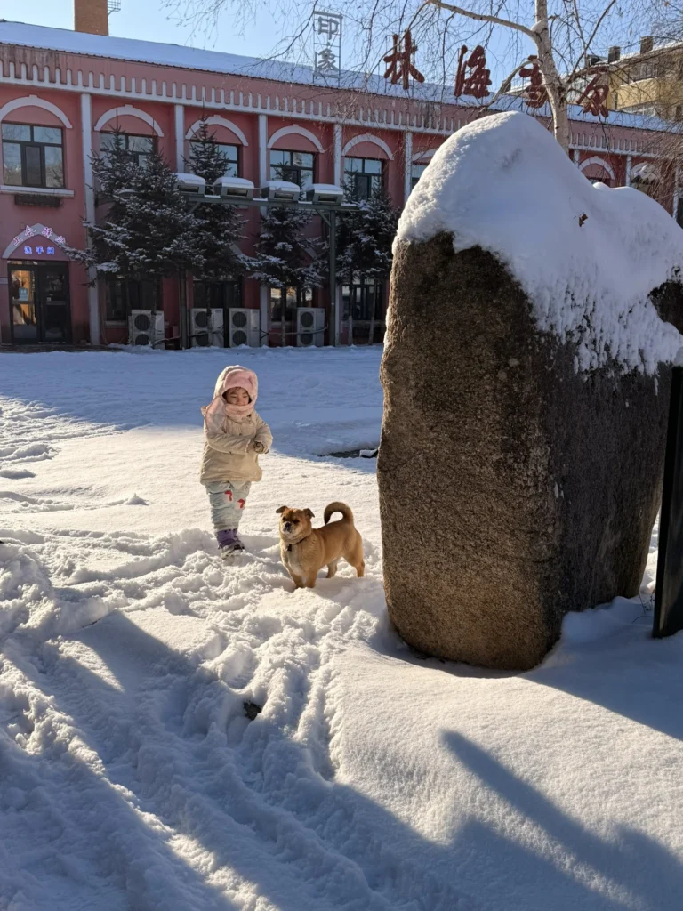 Hengdaohezi 1-Day Trip: Snowy Railway Town Near Harbin Travel Guide 9 Child playing in the snow with a small local dog near a historic building in Hengdaohezi during winter.