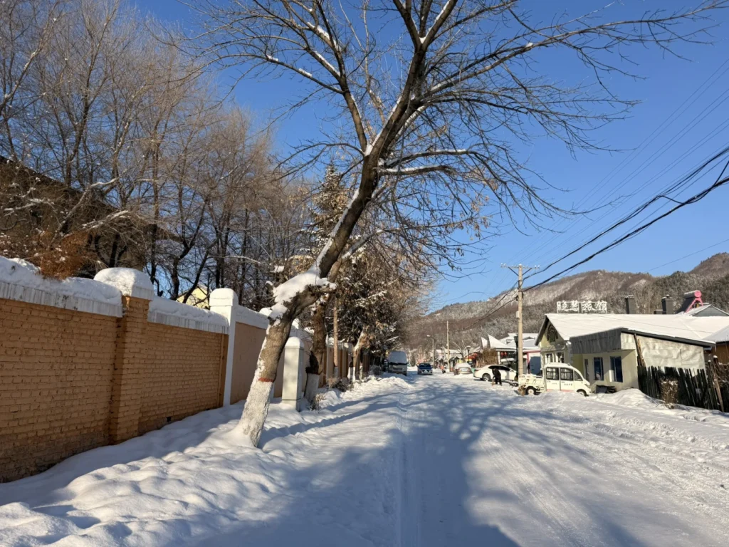 Hengdaohezi 1-Day Trip: Snowy Railway Town Near Harbin Travel Guide 6 Snow-covered street in Hengdaohezi town during winter, with quiet houses, bare trees, and mountains in the background.