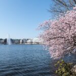 Best Places to Visit in Japan 2026 | Top Cities, Culture & Nature